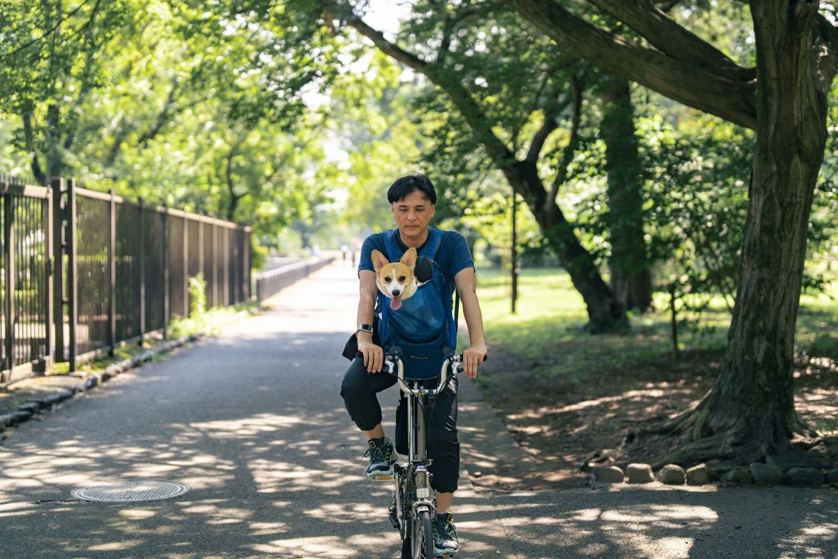 05_049_R1_3144-1200x800 本来の自分に返る時間を、愛車と愛犬とともに。 「トナーレQ4ヴェローチェ」オーナーインタビュー