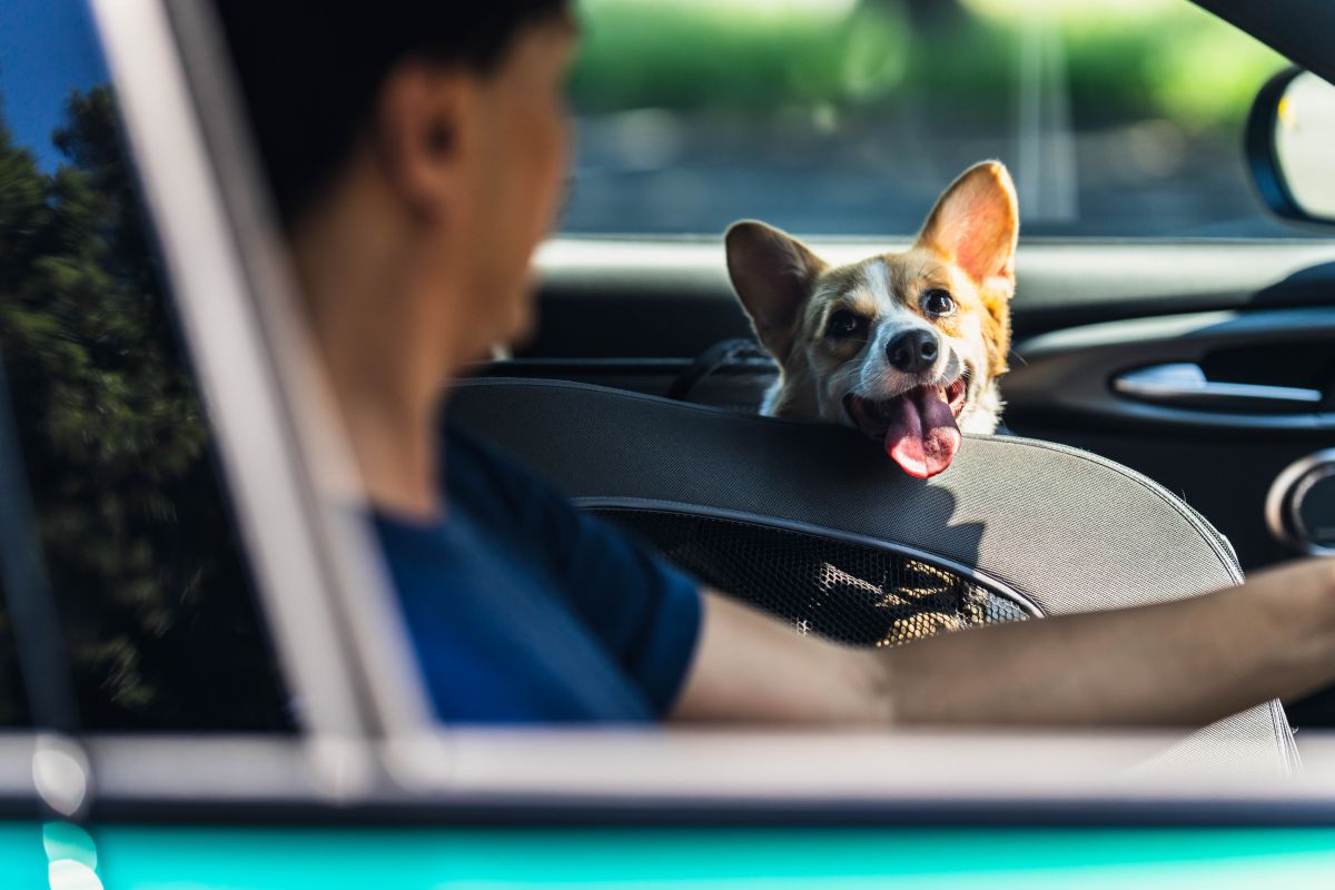 11_075_R1_3281-1200x800 本来の自分に返る時間を、愛車と愛犬とともに。 「トナーレQ4ヴェローチェ」オーナーインタビュー