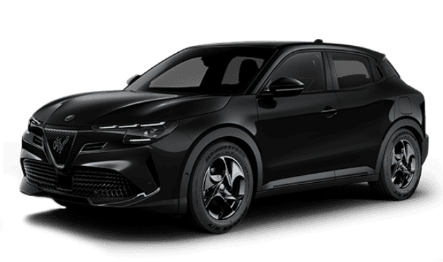 Junior Ibrida Premium