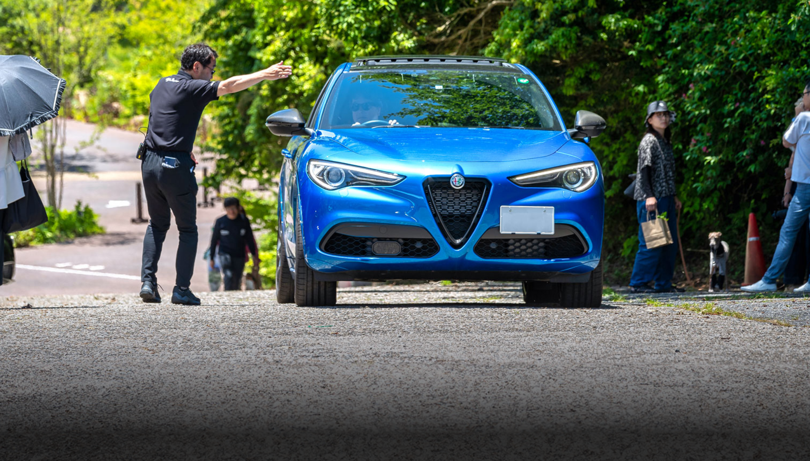 ALFA ROMEO HISTORY