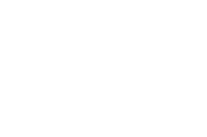 見て、乗れば絶対にわかるトナーレ プラグインハイブリッド Q4の実力